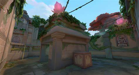 Site A lotus